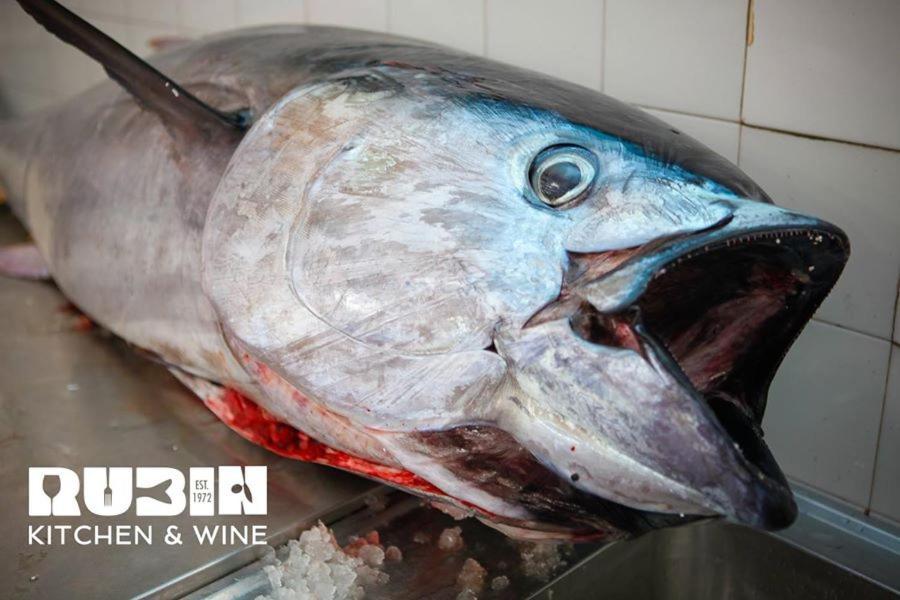 Rubin Kitchen&Wine Rooms Crikvenica Esterno foto